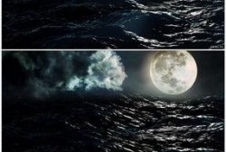 月光爆料最新视频下载,精彩瞬间不容错过！