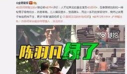 罚罪最新爆料视频下载,揭秘剧情高潮与角色命运转折