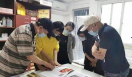 清风工作室最新爆料新闻,最新爆料新闻深度解析