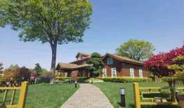 安顺楼盘爆料最新消息查询,最新楼盘爆料揭秘